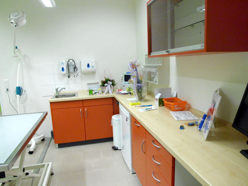 Untersuchung / Behandlung 